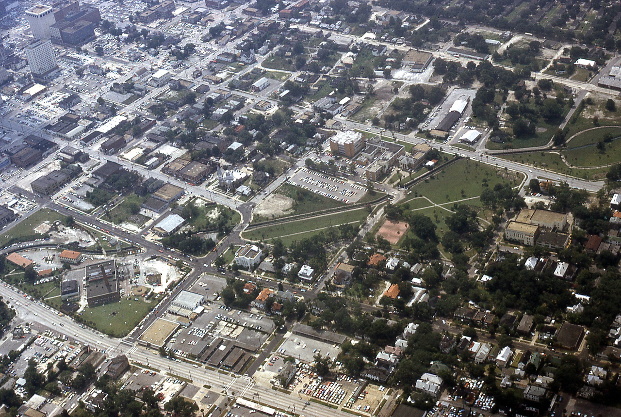 THE JAXSON | The oak tree that remembers Black Bottom — Jacksonville Today, Mexico City Schools news